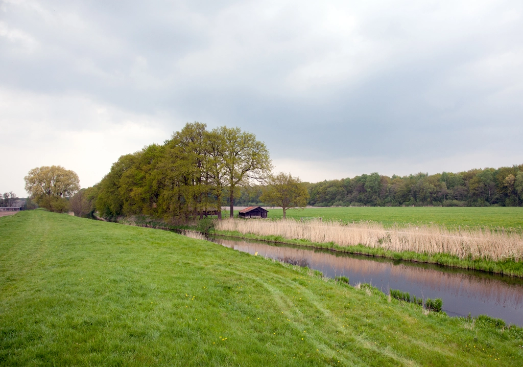 online marketing veenendaal