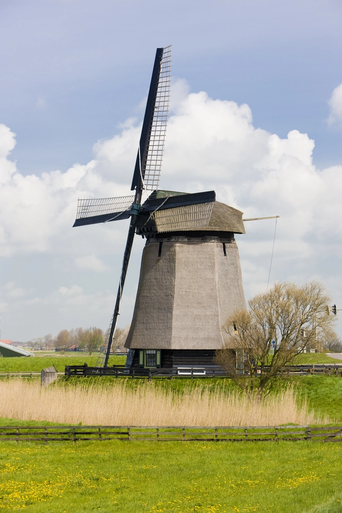 seo specialist alkmaar