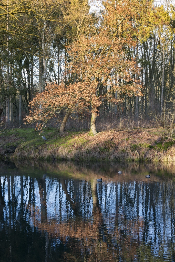 online marketing bureau hilversum