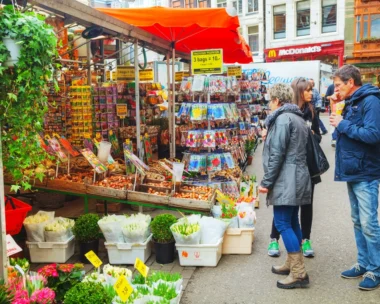 digital marketing amsterdam